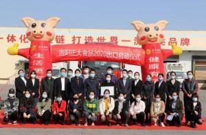 洛陽正大出口香港產(chǎn)品順利通關(guān)！