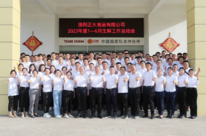 總結過去，計劃未來，協(xié)同創(chuàng)新，再創(chuàng)佳績！洛陽正大舉行2023年上半年工作總結會議